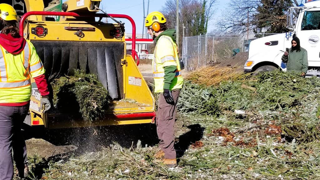 Crews chip yard waste into mulch