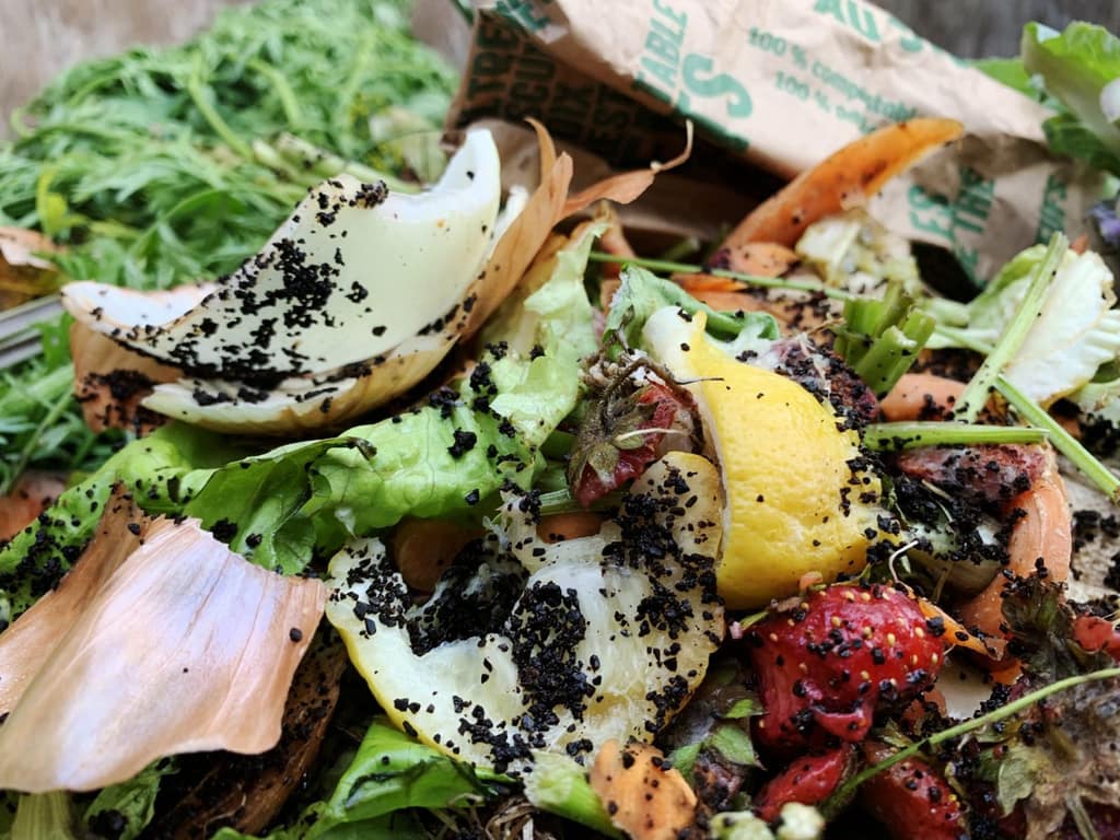 Fruit and vegetable scraps ready for composting